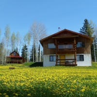Gallery thumbnail