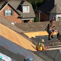 Gallery thumbnail