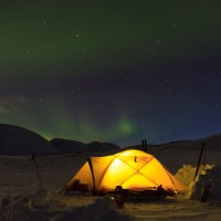 Gallery thumbnail