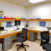 Garden City Dental Centre