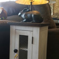 Gallery thumbnail
