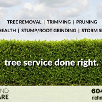 Richmond Tree Care Vancouver