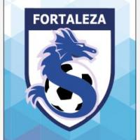 Academia de Fútbol Fortaleza de Viña Del Mar