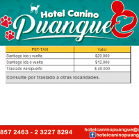 HOTEL CANINO PUANGUE