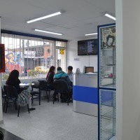 Galería en miniatura