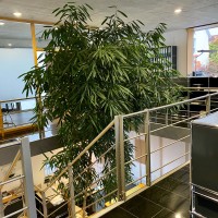 Galerie-Thumbnail