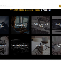 Miniature de la galerie