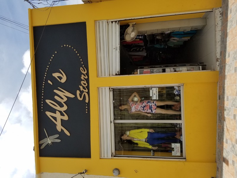 ALY´S STORE