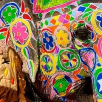 Gallery thumbnail