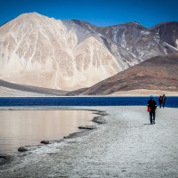 Gallery thumbnail