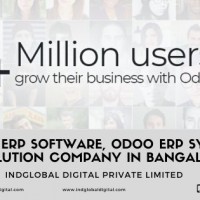 Indglobal Digital Private Limited