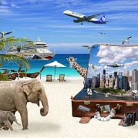 Gallery thumbnail