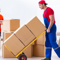 Hindustan Cargo Packers & Movers