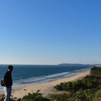 Gallery thumbnail
