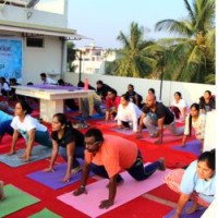 Pradipika Institute of Yoga & Therapy