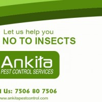 Ankita Pest Control - Thane