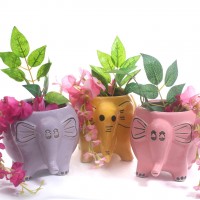 Gallery thumbnail