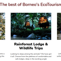 Borneo Travel