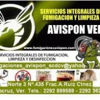 Control De Plagas Avispon-exterminio De Insectos Y Alimanias