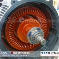 Motores Electricos VACA :: TECO Westinghouse ::