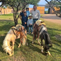 Ponies de Aguascalientes