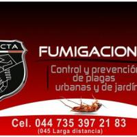 Fumigaciones INSECTA