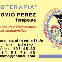 BIOMAGNETISMO MEDICO MAZATLAN