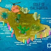 Del Cabo Surf Shop