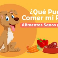 Las mascotas son parte de la familia