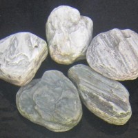 Gallery thumbnail
