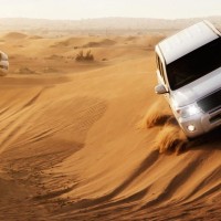 Gallery thumbnail