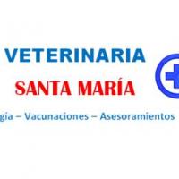 Santa María, Veterinaria