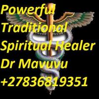 POWERFUL TRADITIONAL HEALER LOST LOVE HEALER+27836819351