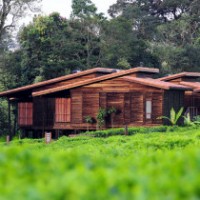 Timber Log Homes