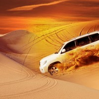 Evening Desert Safari