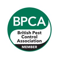 Pest Solutions