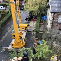 Nick Bailey Tree Surgeons