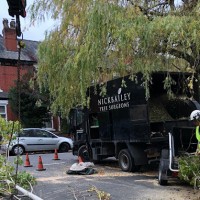 Nick Bailey Tree Surgeons