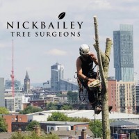 Nick Bailey Tree Surgeons