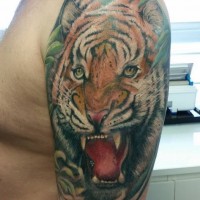 Gallery thumbnail