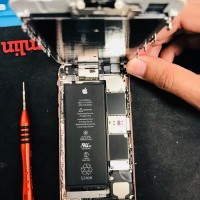 Gallery thumbnail