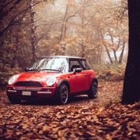 Gallery thumbnail