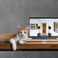 Gallery thumbnail