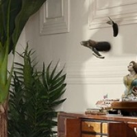 Gallery thumbnail