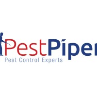 pest piper expert pest control