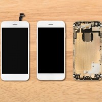 Gallery thumbnail
