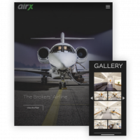 Gallery thumbnail