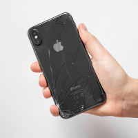 Gallery thumbnail