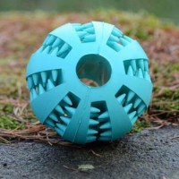 Gallery thumbnail