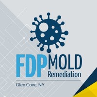 FDP Mold Remediation